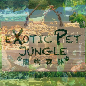 Exotic Pet Jungle - 寵物森林